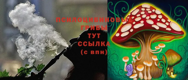 закладка  Нижние Серги  Псилоцибиновые грибы Magic Shrooms 